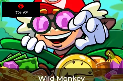 Wild Monkey